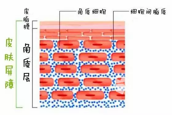 (hu)<a href=http://www.n1239.cn/tag/qudou/ target=_blank >ȥ<a href=http://www.n1239.cn/tag/dou_3982/ target=_blank ></a></a>ǸӲĵ