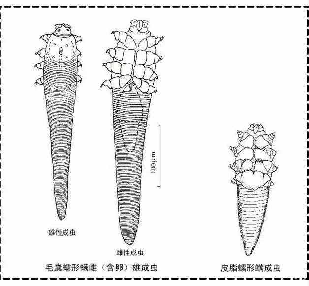 һs(hu)ͱ<a href=http://www.n1239.cn/tag/dou_3982/ target=_blank ></a>“<a href=http://www.n1239.cn/tag/chong/ target=_blank >x</a><a href=http://www.n1239.cn/tag/lian/ target=_blank >Ę</a>”!